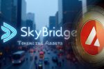 SkyBridge