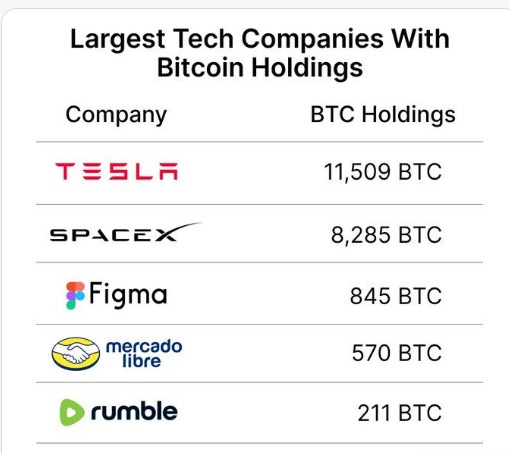 Elon Musk’s companies hold a combined 19,794 Bitcoin | 3.0 TV