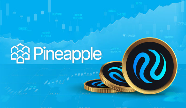 Pineapple Launches $100M Injective Treasury | 3.0 TV (3versetv)