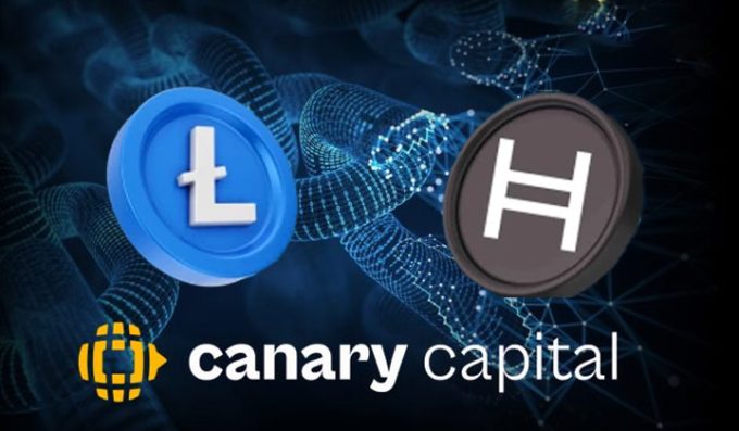 Canary Capital Submits Amended Filings For Spot Litecoin | 3.0 TV (3versetv)