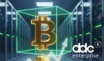 Bitcoin Treasury Firm DDC Adds 100 BTC | 3verseTV