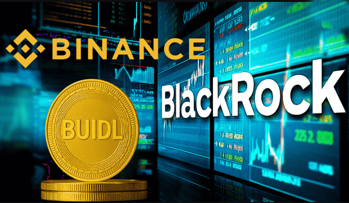 BlackRock Expands Tokenized Treasury Utility Across Institutional Markets