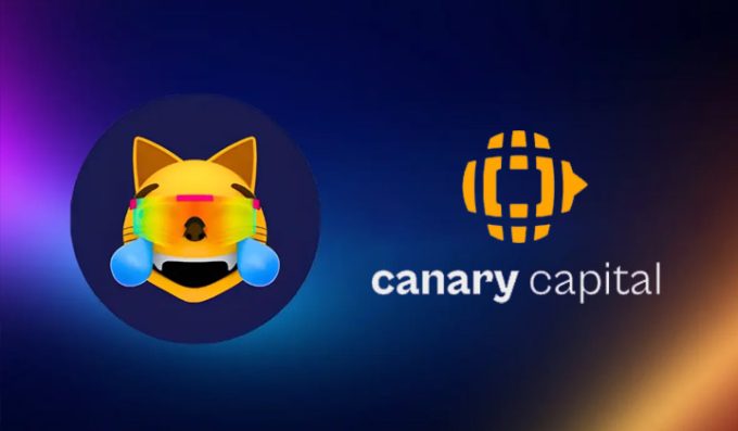 Canary Funds Files For First-ever MOG Coin ETF | 3verseTV