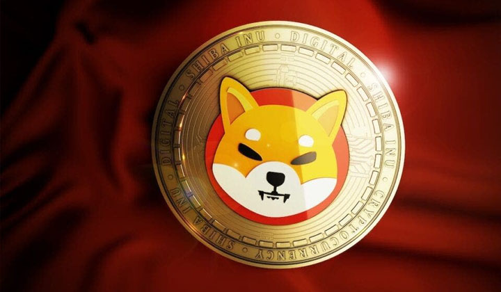Shiba Inu Approved For Japan’s Green List, Joins Bitcoin & Ethereum | 3verseTV