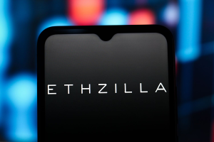 ETHZilla Pushes Blockchain Adoption in Housing With 15% Zippy Stake