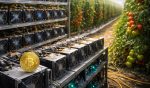 Canaan Uses Bitcoin Mining Heat To Power Tomato Greenhouse | 3verseTV