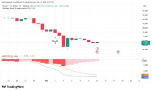 BTC Chart Overview