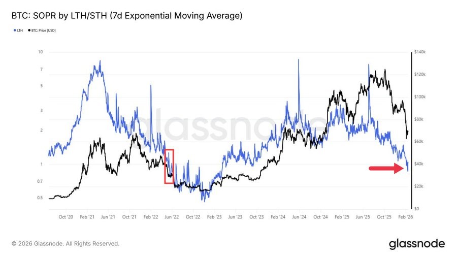NO DIP SUPPORT, EXPECT MARKET REPORT