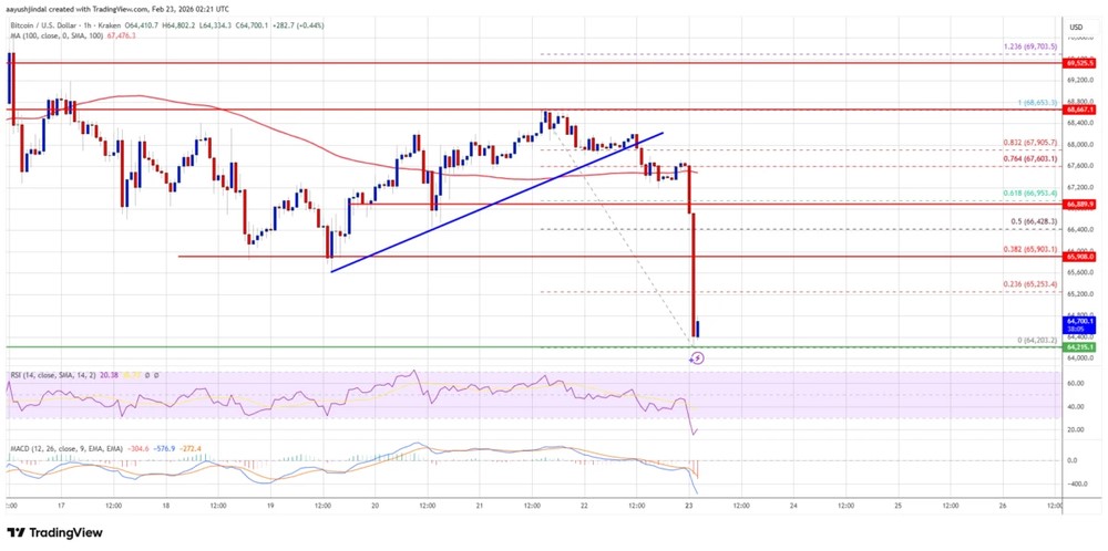 TARIFF FEAR IS HERE, BITCOIN DROPS, MARKETS IN TEARS