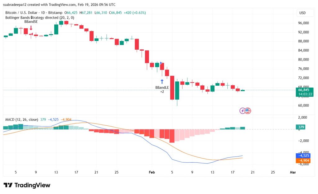 Today's BTC Overview