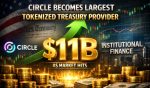 Circle Becomes Largest Tokenized Treasury Provider As Market Hits $11B