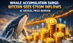 Whale Accumulation Surge: Bitcoin Sees $750M Inflows At Critical Price Barrier