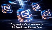 Polymarket Captures Nearly All Prediction Market Fees