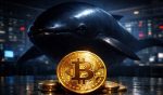 Bitcoin Whales Turn Aggressively Long As Shorts Build Pressure