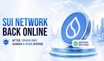 Sui Network Back Online After ‘Crash Bug’ Causes 6 Hour Outage