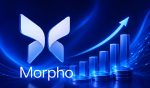 Morpho Raises $175M As Investors Bet On Onchain Credit Markets
