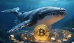 Bitcoin Whale Sells 7,700 BTC As Market Eyes $80,000