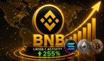 BNB Chain Leads As Layer-1 Crypto Activity Jumps 255%