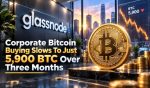 Corporate Bitcoin Buying Slows To Just 5,900 BTC Over Three Months
